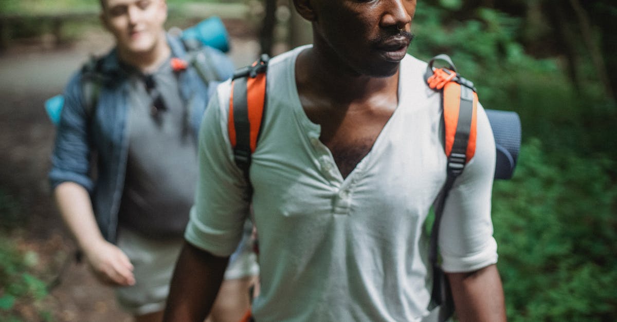 Are track and trail referring to different kind of footpaths in Australia? - Serious diverse friends hiking in woodland