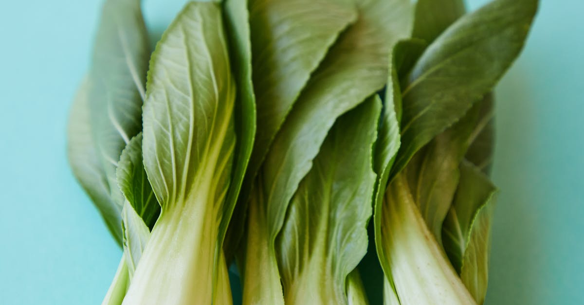 Are visa applications from Chinese citizens commonly refused for lack of ties? - From above of verdant ripe leaves of pok choi placed on blue background Are visa applications from Chinese citizens commonly refused for lack of ties? - From above of verdant ripe leaves of pok choi placed on blue background