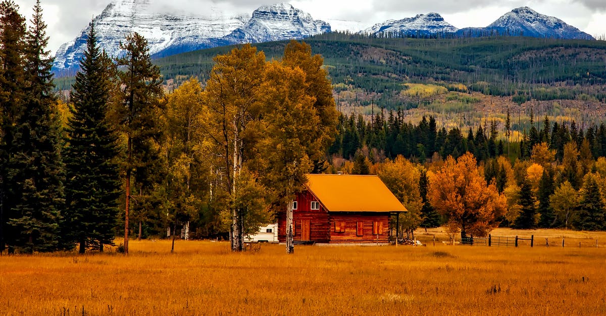 Arriving to home country after visa expires? - Brown Cabin Near Trees and Mountains Arriving to home country after visa expires? - Brown Cabin Near Trees and Mountains