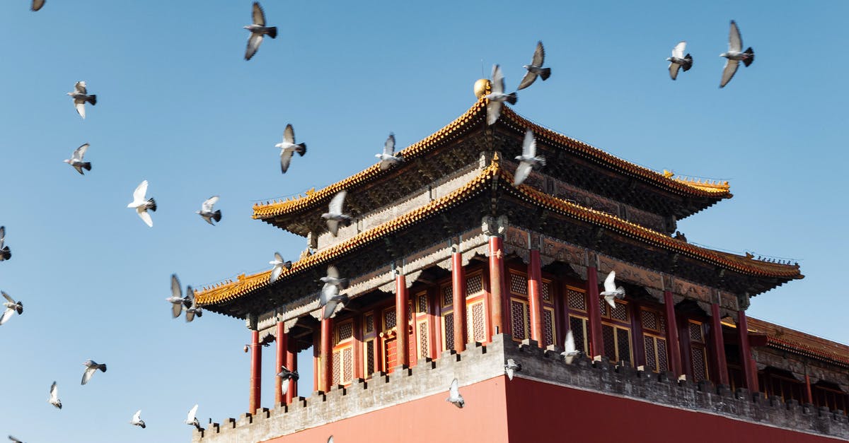 ATMs in China - are they widespread? - Traditional Chinese Architecture and Pigeons in Blue Sky ATMs in China - are they widespread? - Traditional Chinese Architecture and Pigeons in Blue Sky