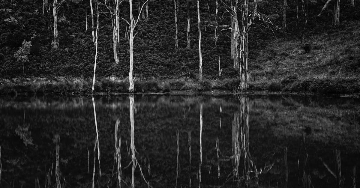 Australia 600 Visitor visa, Can I reapply while the existing visa is still active? - Grayscale Photo of Trees and Body of Water Australia 600 Visitor visa, Can I reapply while the existing visa is still active? - Grayscale Photo of Trees and Body of Water
