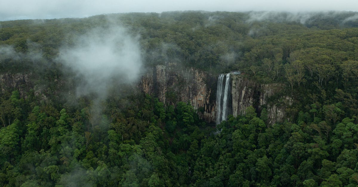 Australia transit visas dates - Green Trees on Mountain Australia transit visas dates - Green Trees on Mountain