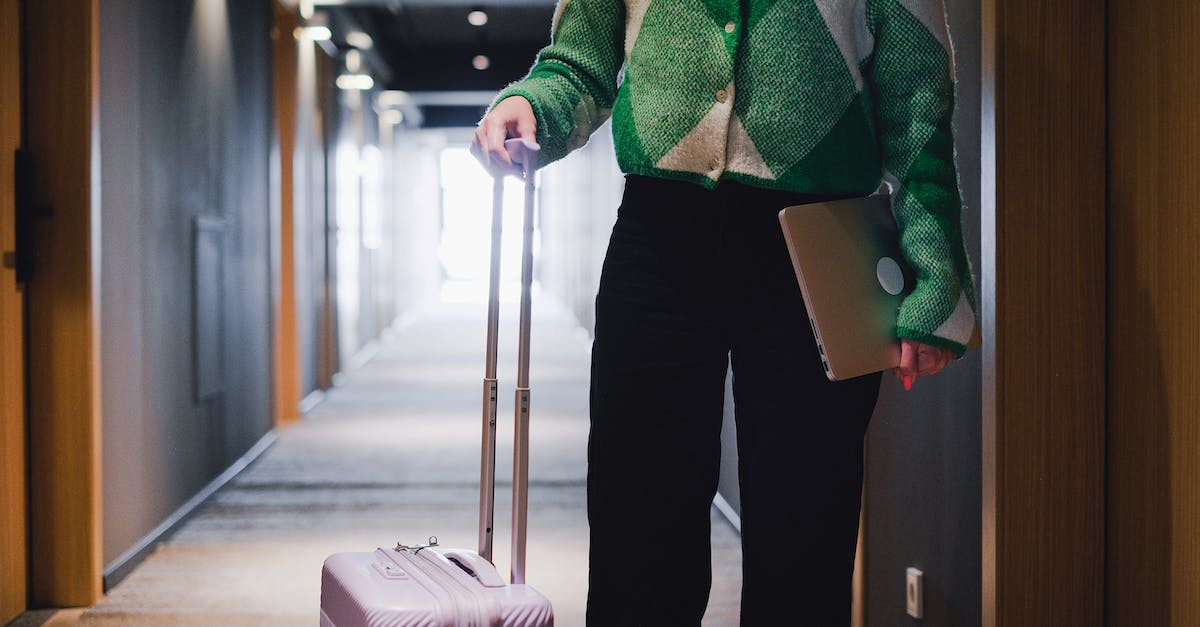 Availability of taxi from Tbilisi Airport to a certain hotel during winter - Person in Green and White Sweater and Black Pants Holding Luggage Bag Availability of taxi from Tbilisi Airport to a certain hotel during winter - Person in Green and White Sweater and Black Pants Holding Luggage Bag