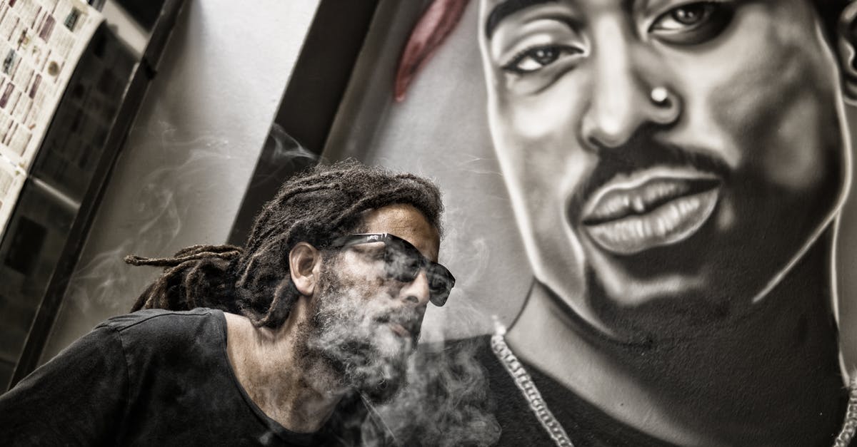 B-2 Visa, re-entry (with existing ESTA) - Man With Dreadlocks and Sunglasses Poses Near Tupac Shakur Portrait B-2 Visa, re-entry (with existing ESTA) - Man With Dreadlocks and Sunglasses Poses Near Tupac Shakur Portrait