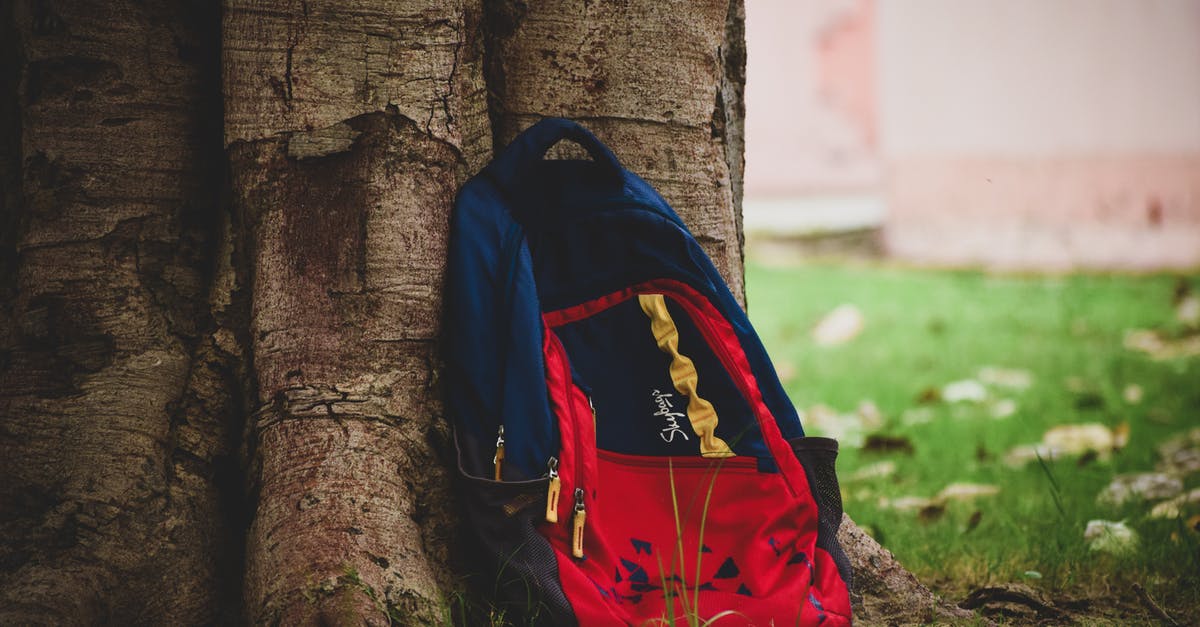 Backpack or bag for southeast asia [closed] - Close-Up Photography of Backpack on Tree