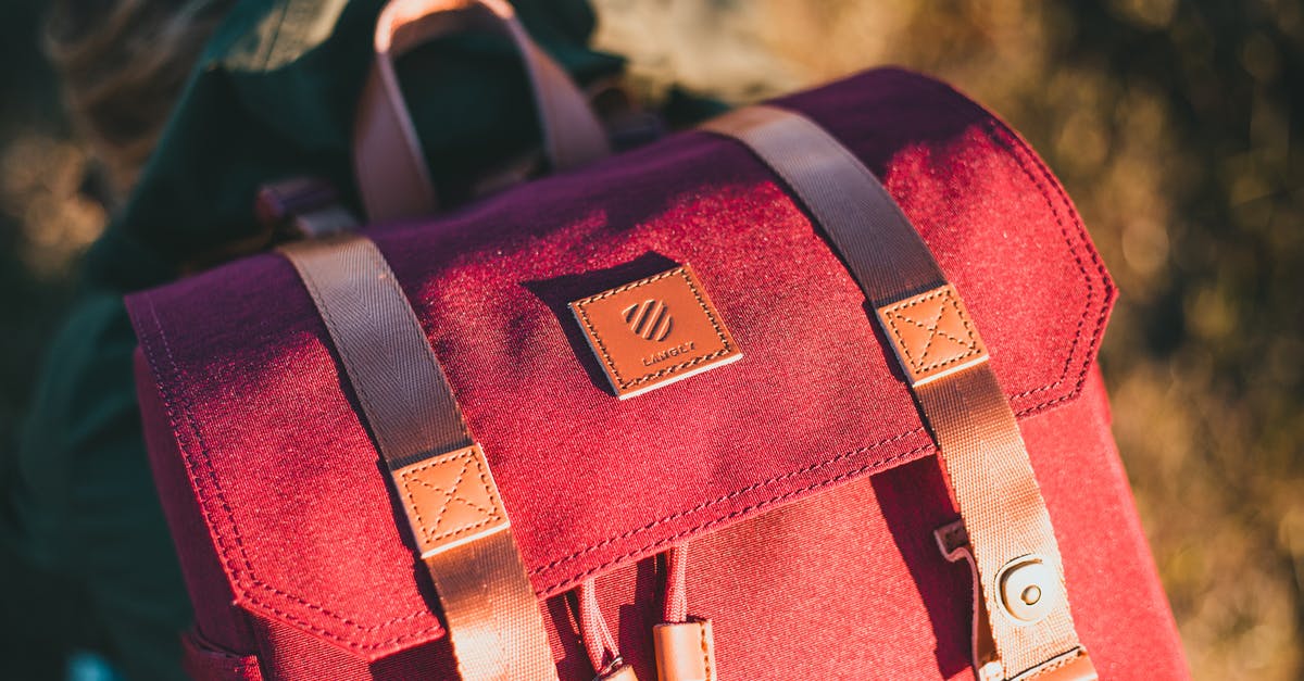 Backpack or Tote Bag: Which is a better personal item? [closed] - Red and Black Leather Bag