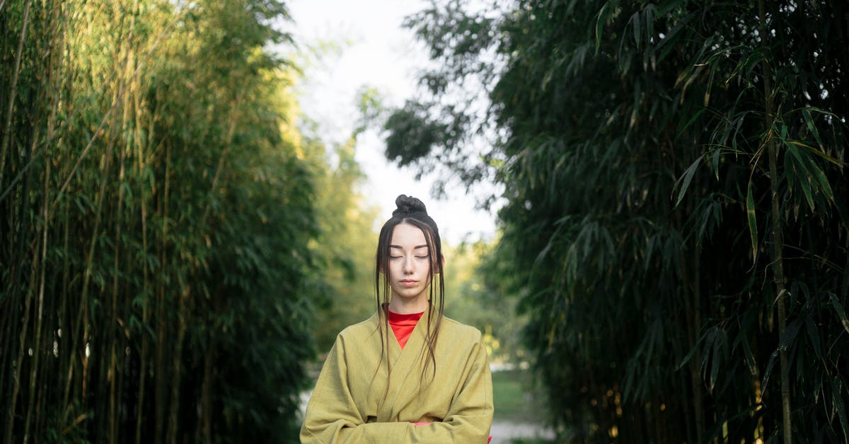 Backpacking to East Malaysia, where to start? where to end? [closed] - Woman in Green Kimono Standing Near Green Trees