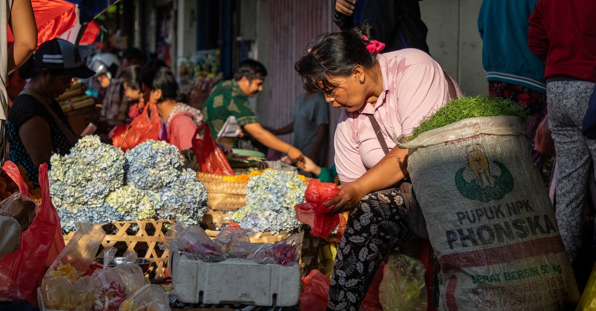 Bargaining at street stalls and secondhand shops in Mongolia - Woman Sitting on Sack Near Flowers Bargaining at street stalls and secondhand shops in Mongolia - Woman Sitting on Sack Near Flowers
