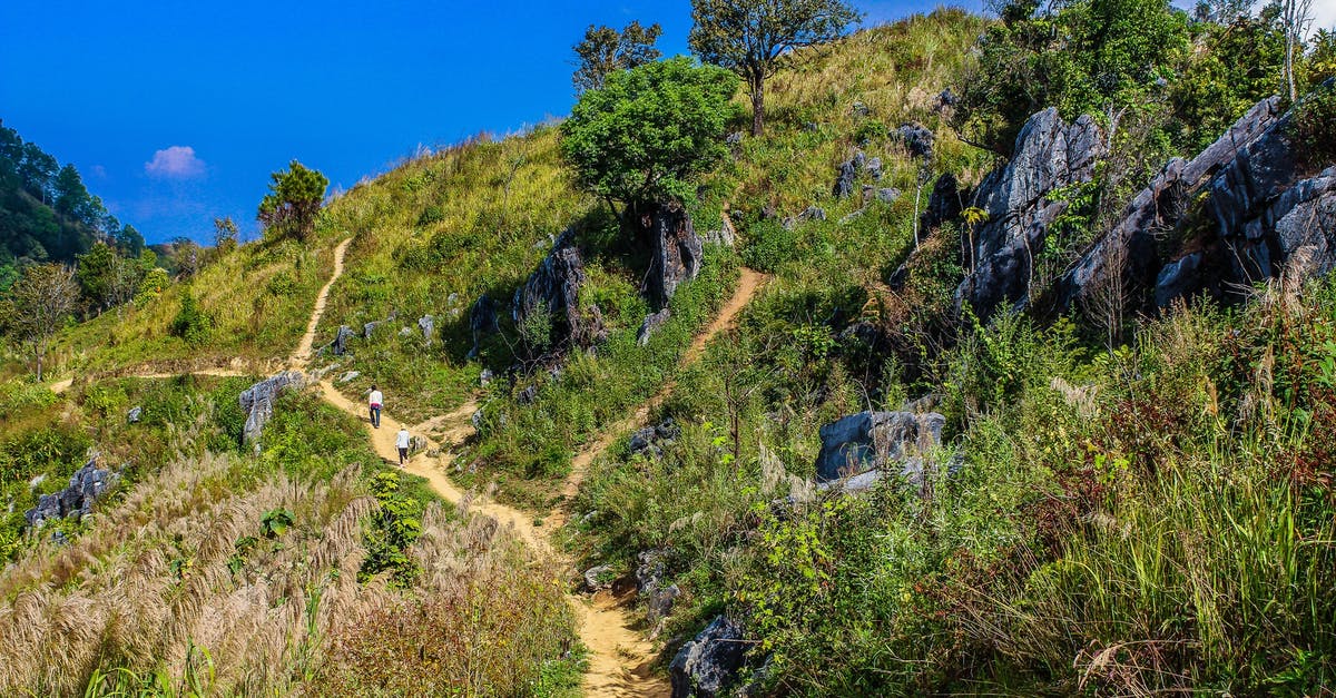 Because of COVID-19 is the Thailand visa on arrival cancelled for all the countries? - Green Grass Filled Hill Under Blue Sky Because of COVID-19 is the Thailand visa on arrival cancelled for all the countries? - Green Grass Filled Hill Under Blue Sky