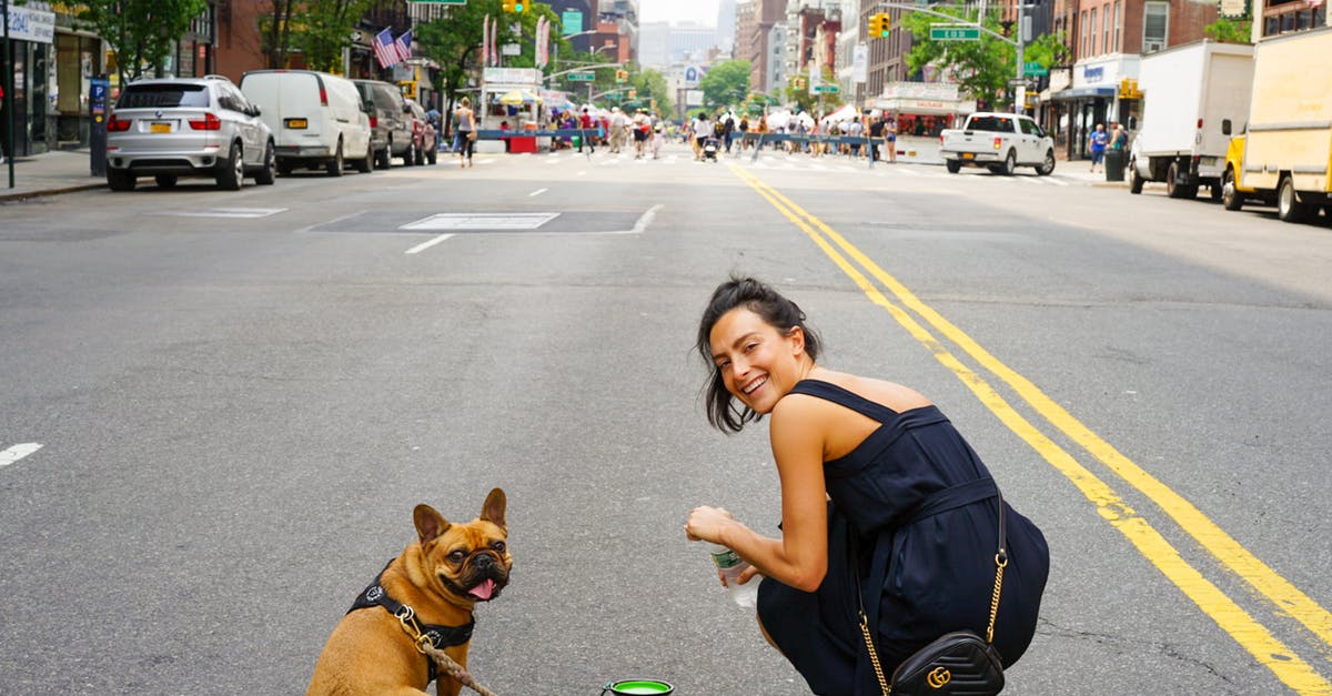 Being a tourist, can I film police in the US? - A Woman in Blue Dress and Her Brown Pug Being a tourist, can I film police in the US? - A Woman in Blue Dress and Her Brown Pug
