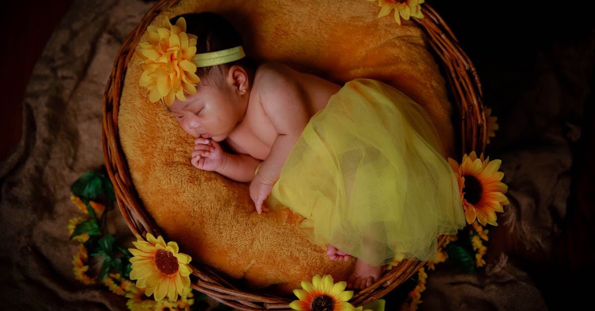 Being separated from one's young children on a flight - A Newborn Baby Sleeping on a Woven Basket with Cushion Being separated from one's young children on a flight - A Newborn Baby Sleeping on a Woven Basket with Cushion