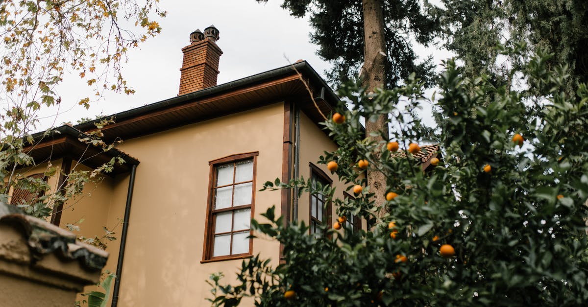 Besides TGV train, how can I travel around France from Paris area during a strike? - Green trees growing near old house in city residential district Besides TGV train, how can I travel around France from Paris area during a strike? - Green trees growing near old house in city residential district
