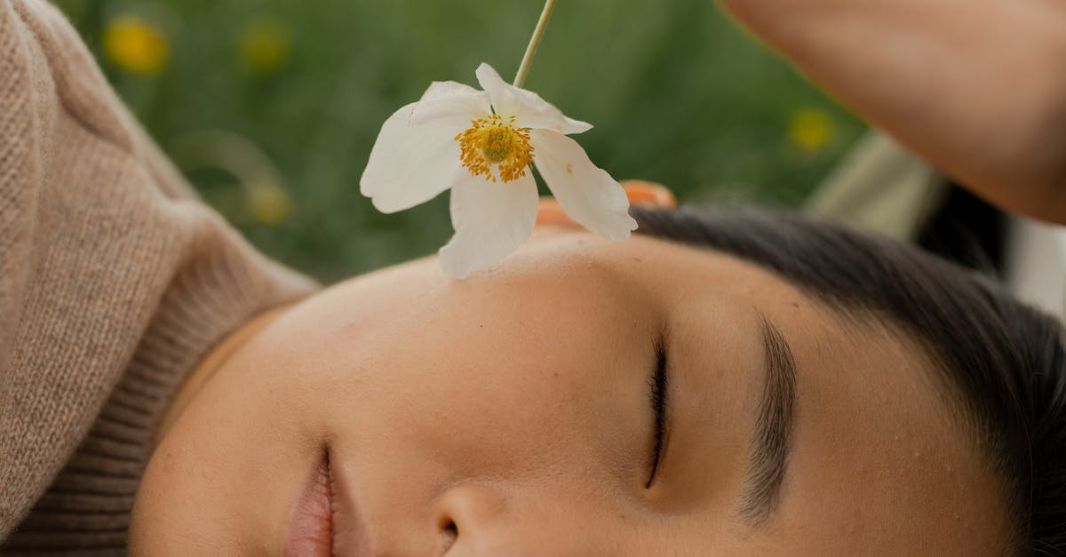 Best day ticket for 3 days in Amsterdam, sleeping close to Halweg-Zwanenburg - Free stock photo of asian woman, cheek, day