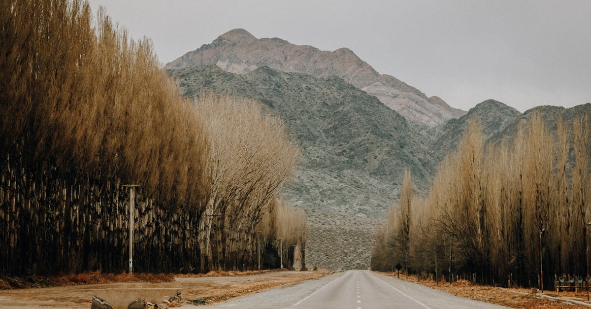 Best road route from Córdoba to Mendoza, Argentina? - Straight empty asphalt road going through forest with leafless trees towards mountains against cloudy sky in autumn Best road route from Córdoba to Mendoza, Argentina? - Straight empty asphalt road going through forest with leafless trees towards mountains against cloudy sky in autumn