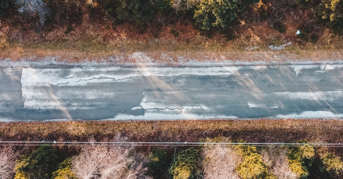 Best Route from Zurich Airport to Rhine Falls - Drone view of narrow asphalt roadway between lush trees growing in autumn forest on sunny day Best Route from Zurich Airport to Rhine Falls - Drone view of narrow asphalt roadway between lush trees growing in autumn forest on sunny day