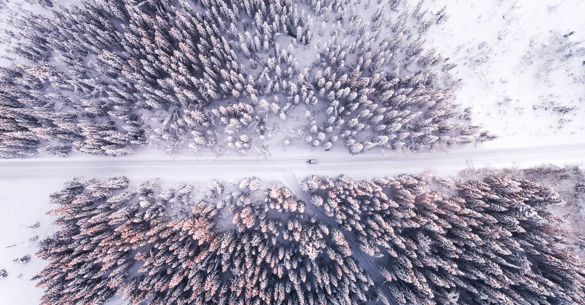Best season for Norway fjords cruise? - Aerial Photo Of Road And Forest Best season for Norway fjords cruise? - Aerial Photo Of Road And Forest