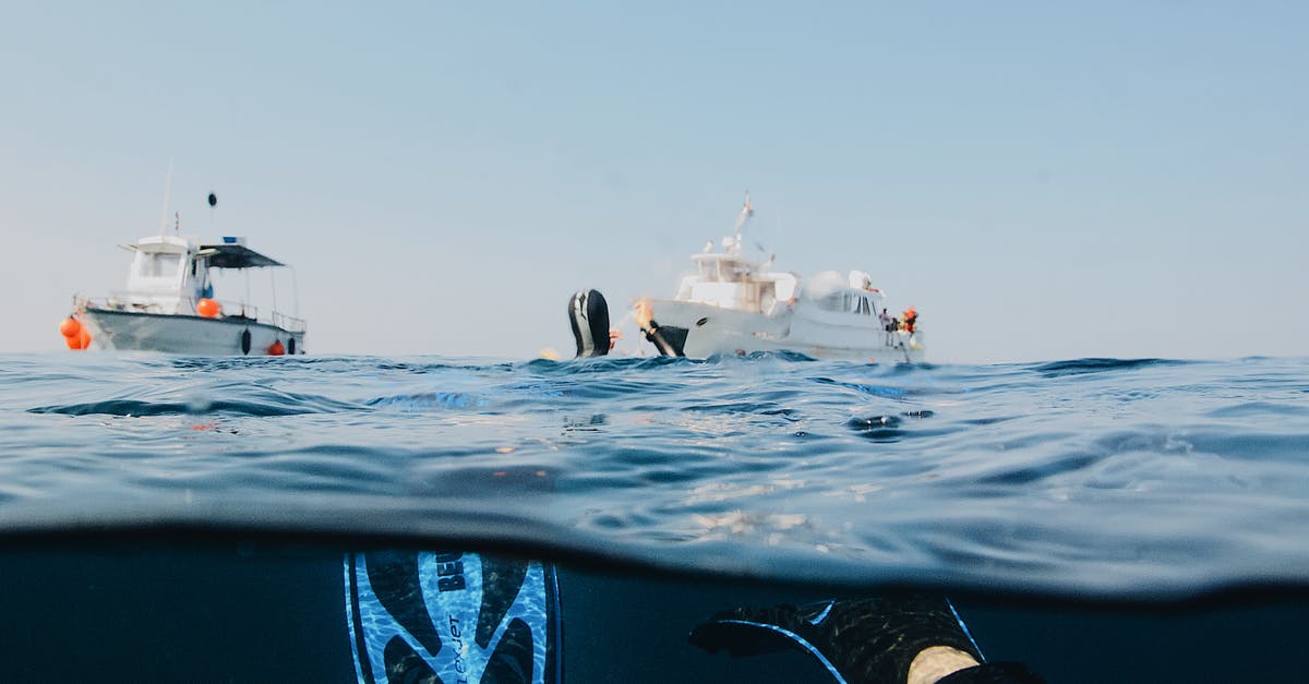 Best time of year to scuba dive in Belize/Honduras - Photo Of Person Submerged On Ocean Best time of year to scuba dive in Belize/Honduras - Photo Of Person Submerged On Ocean