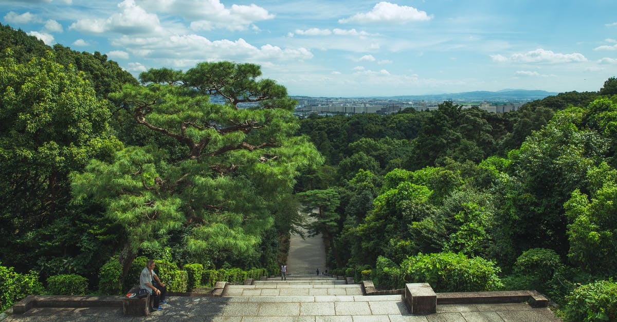 Best travel path from Buenos Aires to Aysen Region, Chile [closed] - From above of long stairway leading through lush exotic green trees under cloudy blue sky in Fushimi Momoyama Castle park