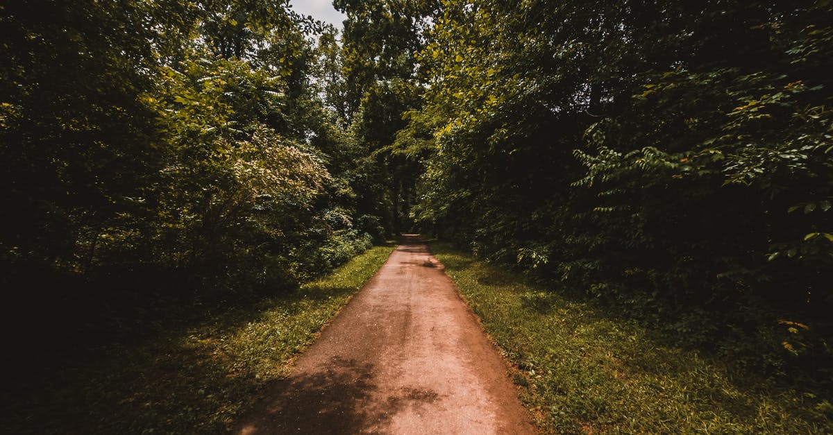Best way to leave EU with expired visa - Empty long pathway going through green high trees in park in summer day Best way to leave EU with expired visa - Empty long pathway going through green high trees in park in summer day