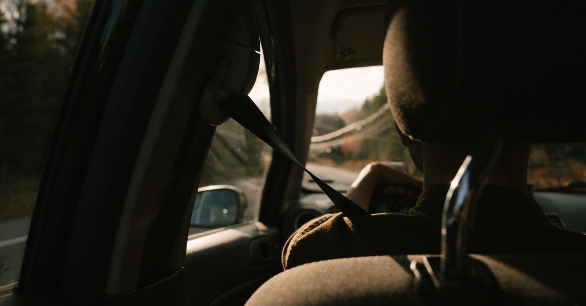 Best way to travel from Vienna to Salzburg to Munich to Venice and back to Vienna, by car or train? [closed] - Back view of unrecognizable person driving modern car on road amidst lush autumn trees during trip in countryside