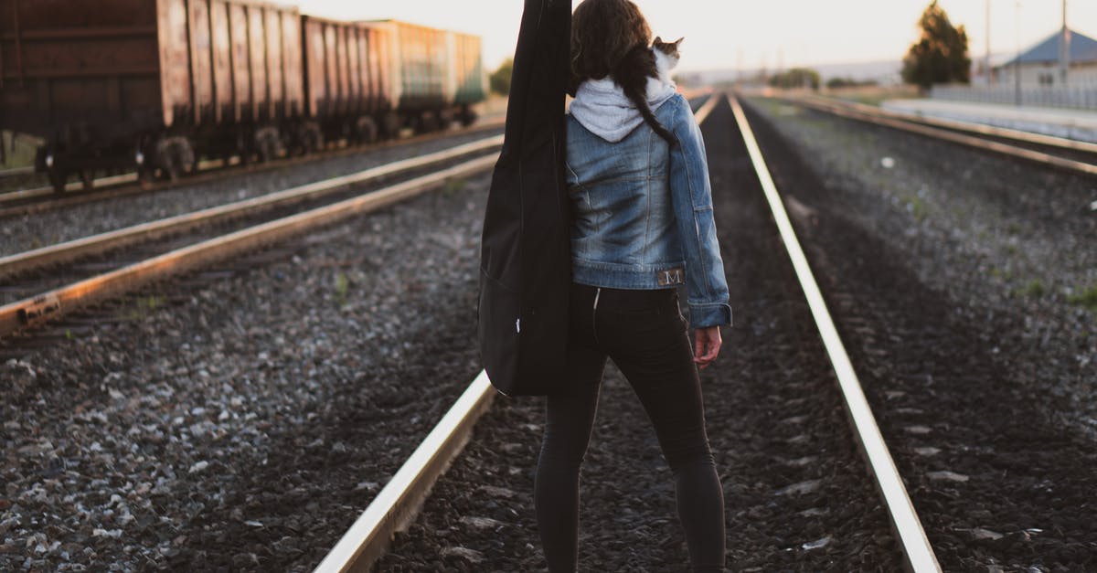 Best way to travel from Vienna to Salzburg to Munich to Venice and back to Vienna, by car or train? [closed] - Woman Standing on Train Rail