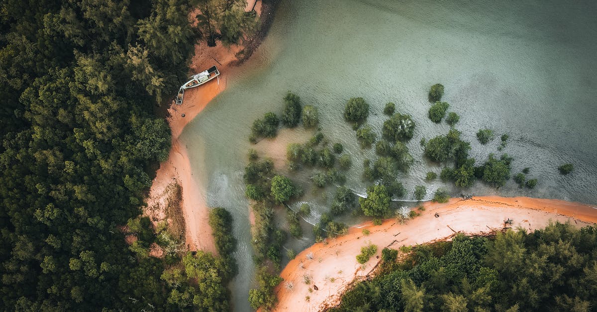 Boat from Phnom Penh to Siem Reap in April - Aerial View of Green Trees Beside Body of Water Boat from Phnom Penh to Siem Reap in April - Aerial View of Green Trees Beside Body of Water
