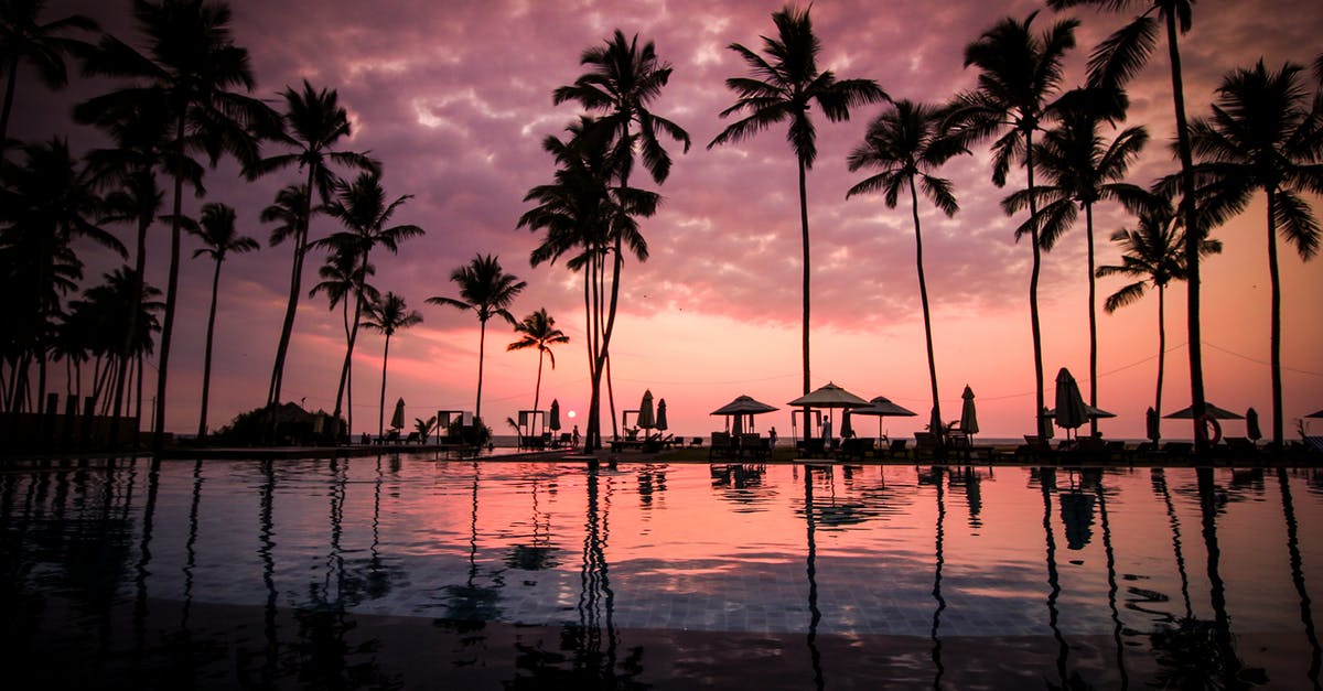 Booking a hotel for unusual hours - Coconut Palm Tress Beside Calm Lake Silhouette Booking a hotel for unusual hours - Coconut Palm Tress Beside Calm Lake Silhouette