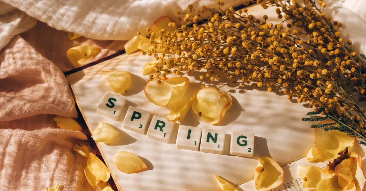 booking.com not canceling previous booking while booking another - Free stock photo of april, beautiful flowers, beauty booking.com not canceling previous booking while booking another - Free stock photo of april, beautiful flowers, beauty