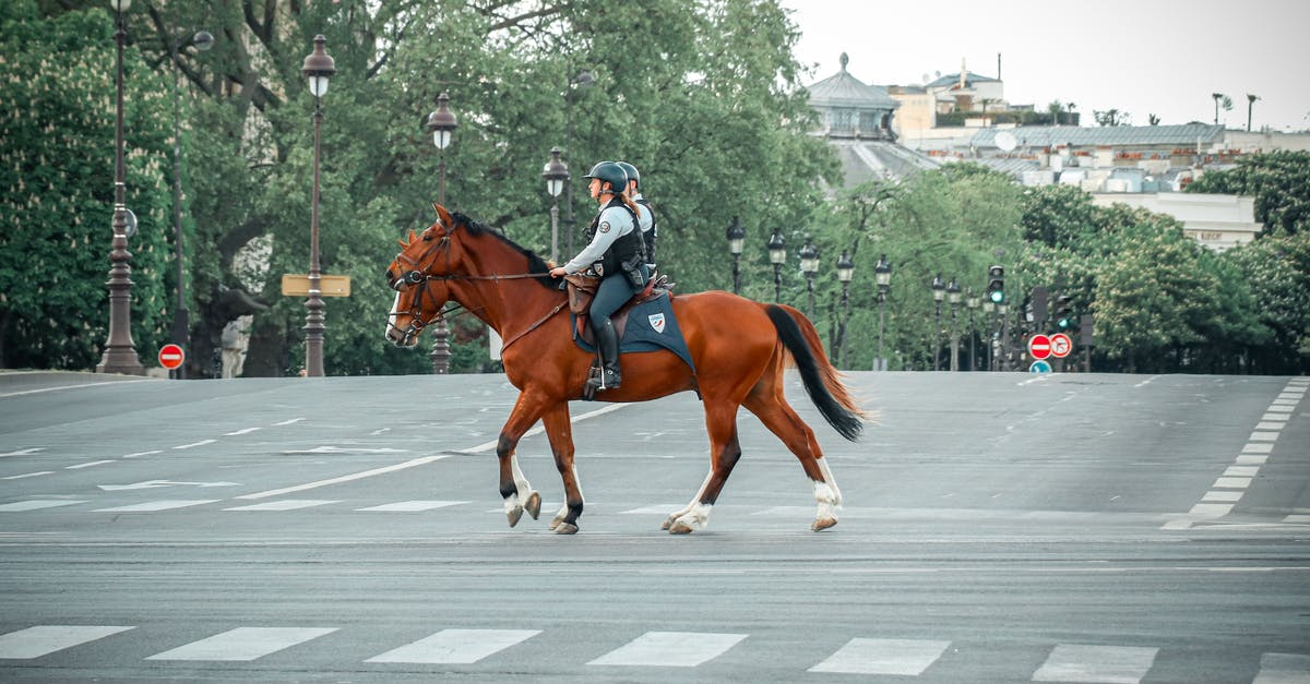 Border control officer asking questions on leaving Canada - Anonymous people crossing street on horses Border control officer asking questions on leaving Canada - Anonymous people crossing street on horses