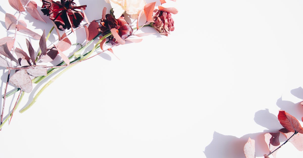 Brazil-Venezuela border status - Pink and White Flowers on White Wall Brazil-Venezuela border status - Pink and White Flowers on White Wall