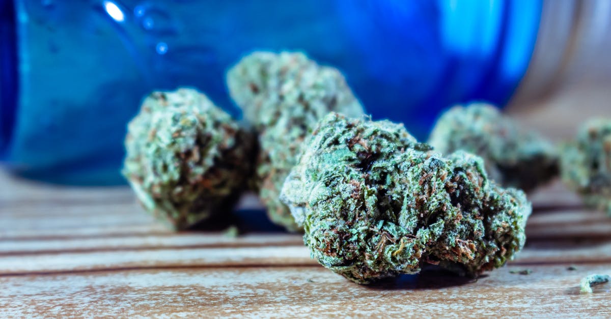 Bringing a medicine containing Cannabis Sativa from India to the Netherlands - Cannabis Buds in Close-Up Photography Bringing a medicine containing Cannabis Sativa from India to the Netherlands - Cannabis Buds in Close-Up Photography