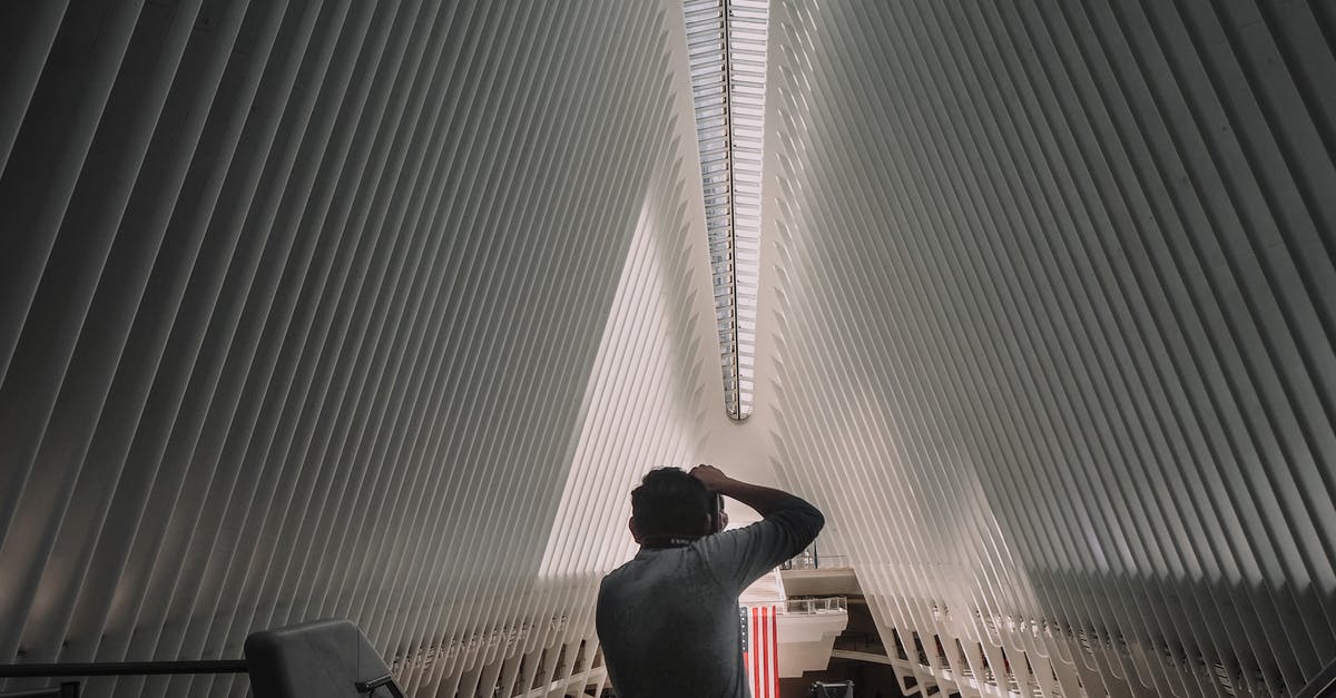 Bringing back new items to USA from Canada - Back view of unrecognizable man standing and taking photo of contemporary World Trade Center Transportation Hub located in New York Bringing back new items to USA from Canada - Back view of unrecognizable man standing and taking photo of contemporary World Trade Center Transportation Hub located in New York