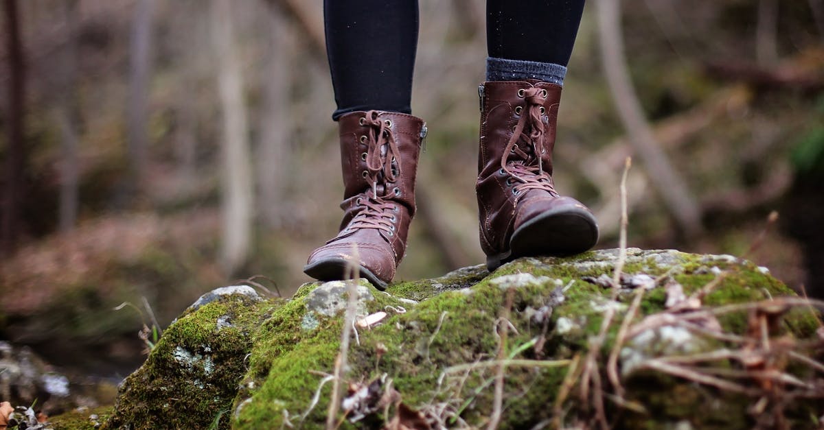 Bringing hiking shoes with dirt/soil to the US? - Low Section of Man Standing in Forest