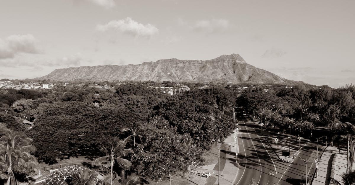 Bringing prescribed opioids into the USA - Gray Scale Photo of Mountain