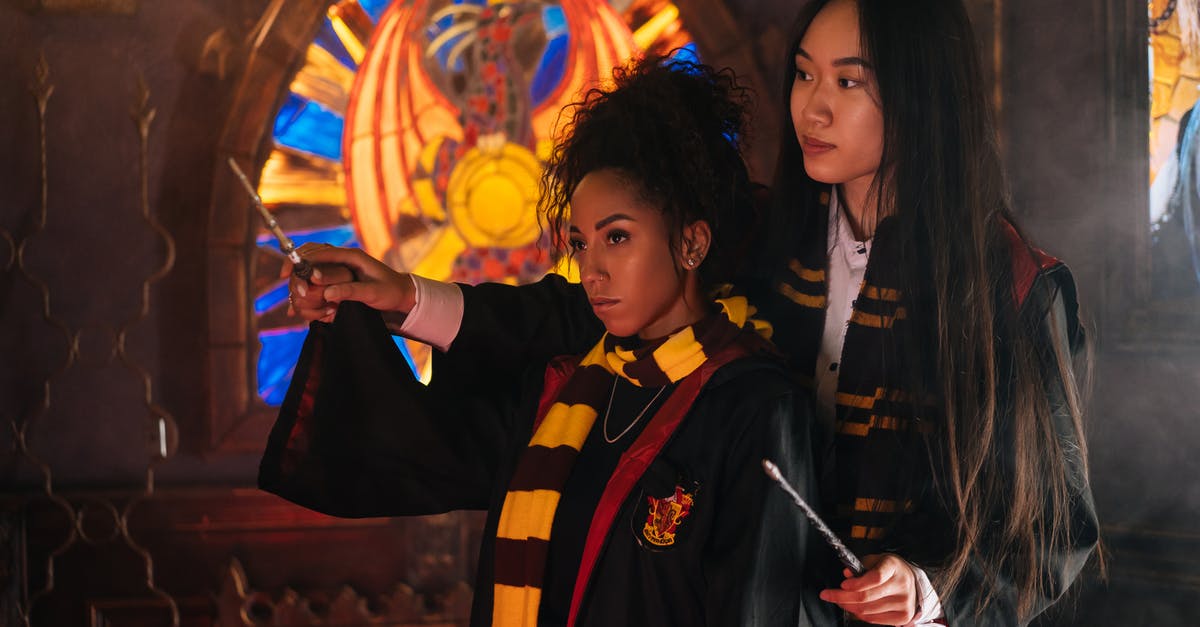 Bubble Wrap/Zip Lock - Harry Potter Wands - A Woman Teaching a Student while Holding a Wand Bubble Wrap/Zip Lock - Harry Potter Wands - A Woman Teaching a Student while Holding a Wand