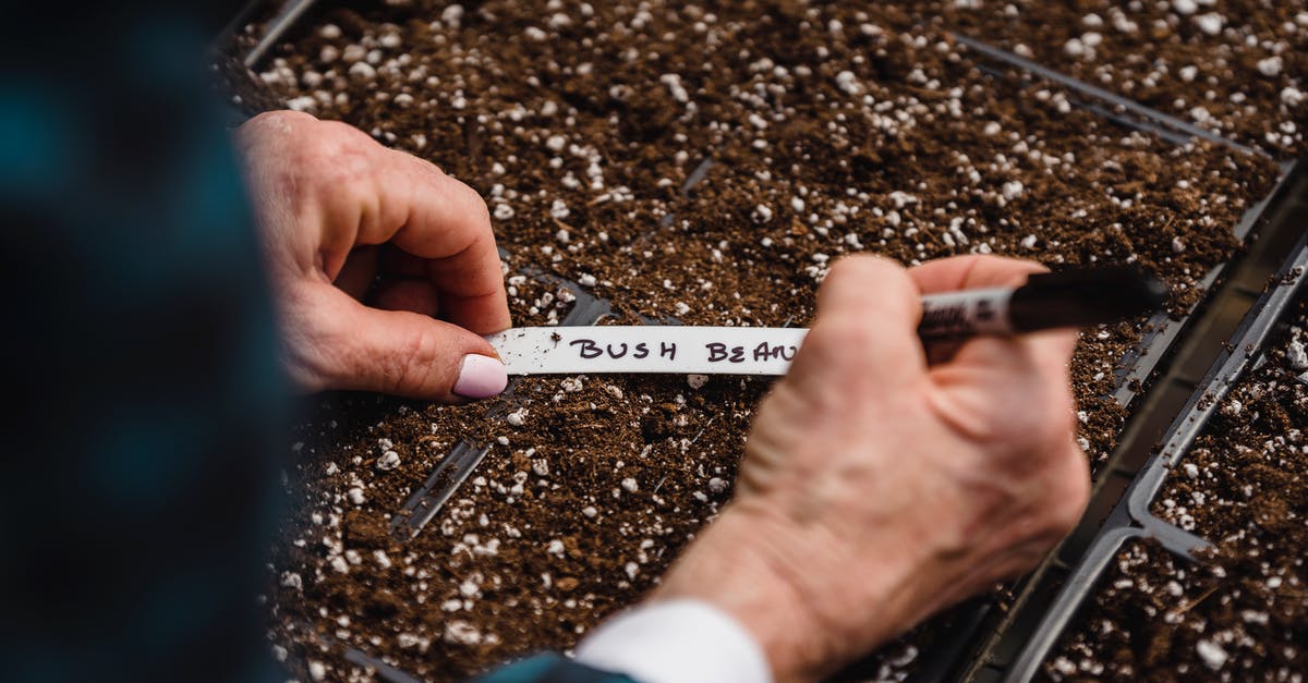Buying Crit'air environment badge at short notice - Anonymous farmer taking notes on soil with seed Buying Crit'air environment badge at short notice - Anonymous farmer taking notes on soil with seed