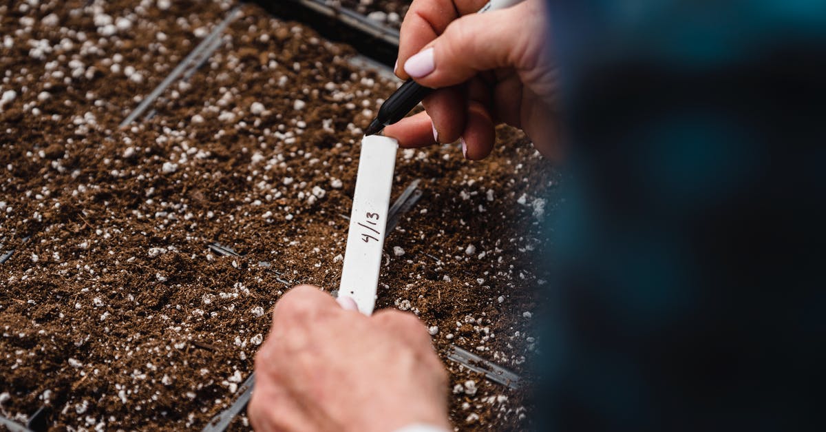 Buying Crit'air environment badge at short notice - Unrecognizable gardener writing note near planting seeds Buying Crit'air environment badge at short notice - Unrecognizable gardener writing note near planting seeds