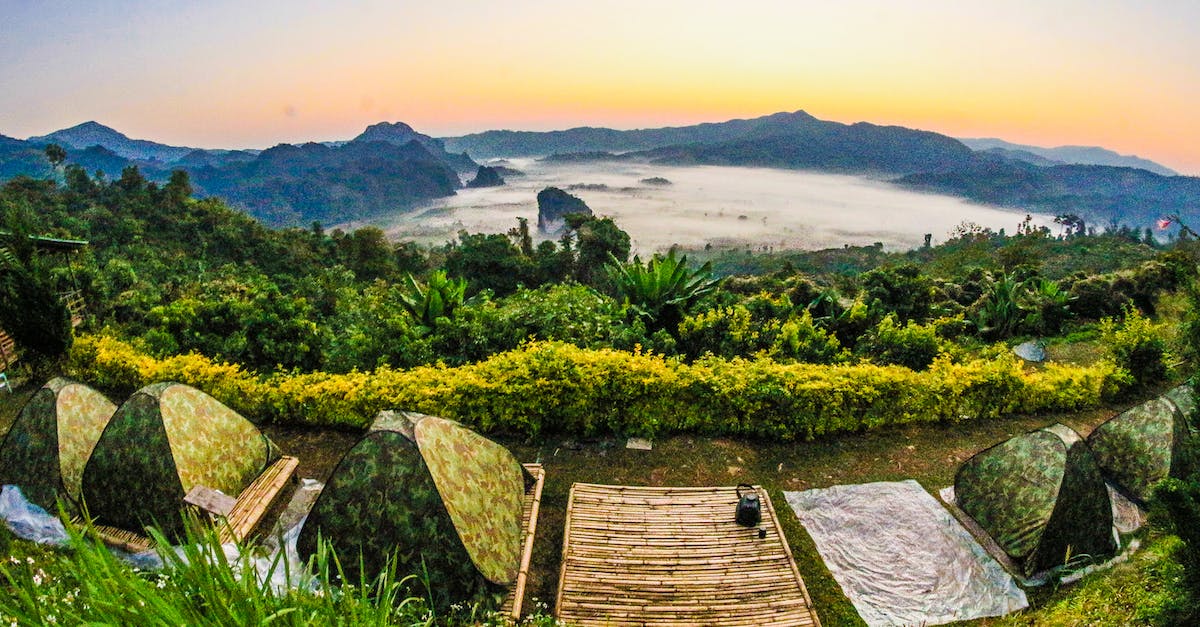 Camping in national parks in Sri Lanka - Green Trees Camping in national parks in Sri Lanka - Green Trees