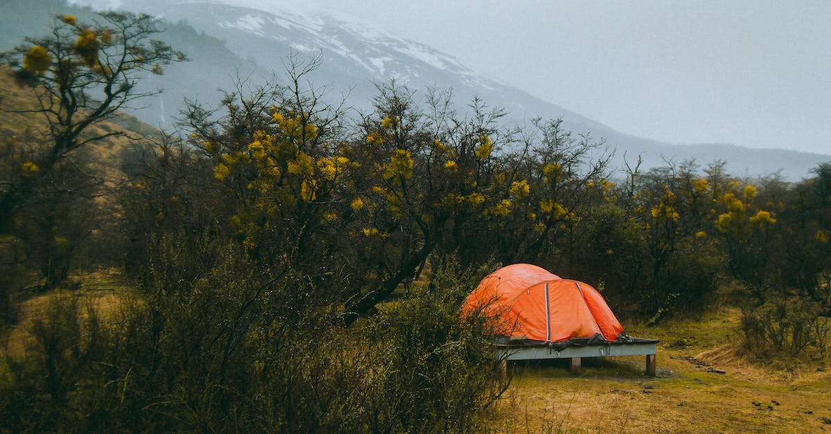 Camping in national parks in Sri Lanka - Photo of Tent Surrounded by Plants Camping in national parks in Sri Lanka - Photo of Tent Surrounded by Plants