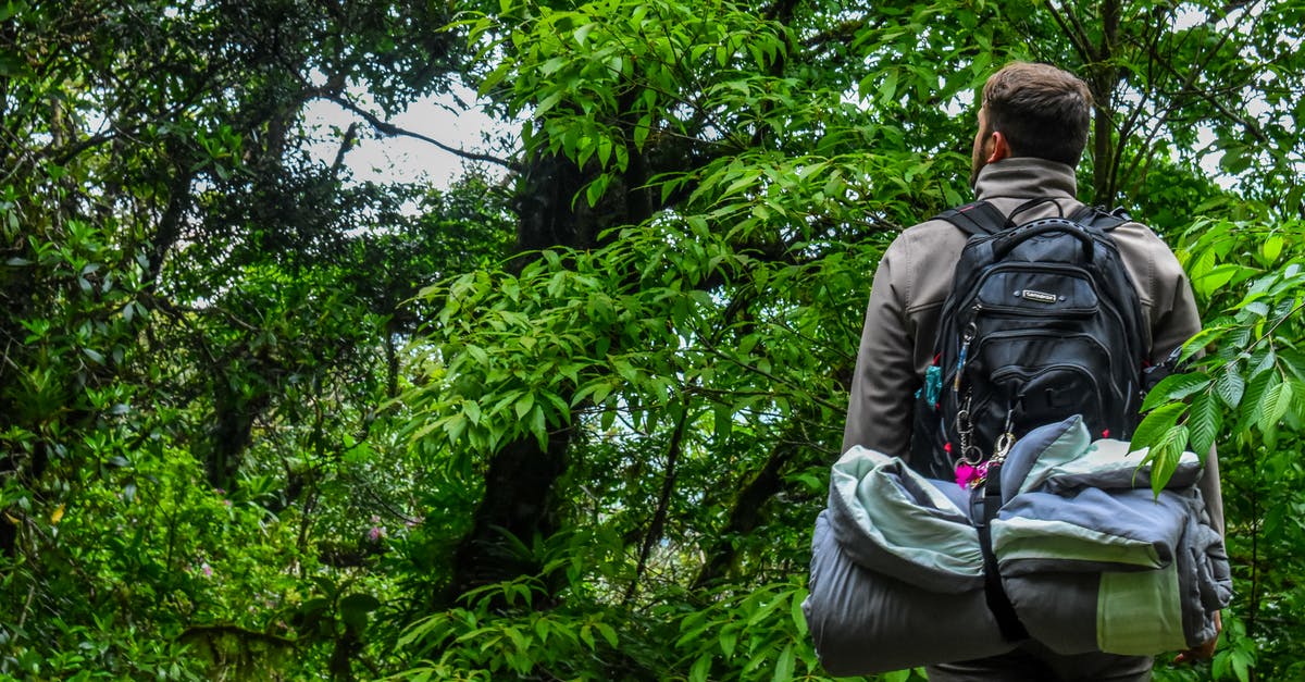 Camping in WA/OR during the off-season - Man Carrying Camping Backpack Standing In-front of Tree Camping in WA/OR during the off-season - Man Carrying Camping Backpack Standing In-front of Tree