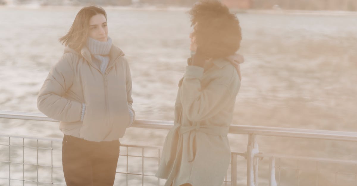 Can't smugglers just walk straight through E.U. customs checks? - Young women standing near railing on embankment Can't smugglers just walk straight through E.U. customs checks? - Young women standing near railing on embankment