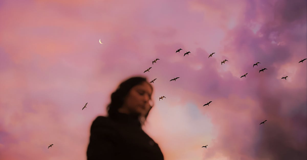 Can a person fly to the Moon as a tourist? - Birds Flying Under a Pink Sky Can a person fly to the Moon as a tourist? - Birds Flying Under a Pink Sky