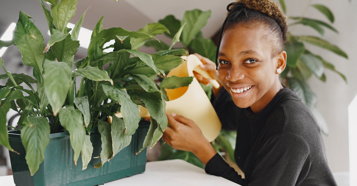 Can a teenager be company for a 9 y/o so that neither are 'unaccompanied minors'? - Smiling Woman in Black Crew Neck T-shirt Sitting Beside Green Plant