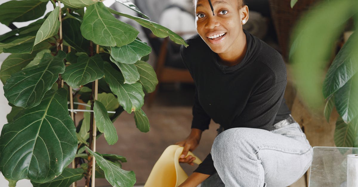Can a teenager be company for a 9 y/o so that neither are 'unaccompanied minors'? - Man in Black Crew Neck T-shirt and Gray Denim Jeans Sitting on Yellow Chair