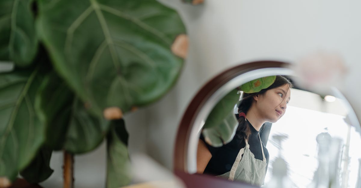 Can a UK national work as a paid shop assistant in the USA? - Mirror reflection of young Asian woman in apron