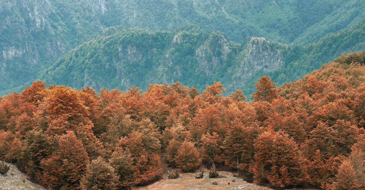 Can Albania be considered secure? - Green and Brown Trees Near Mountain Can Albania be considered secure? - Green and Brown Trees Near Mountain