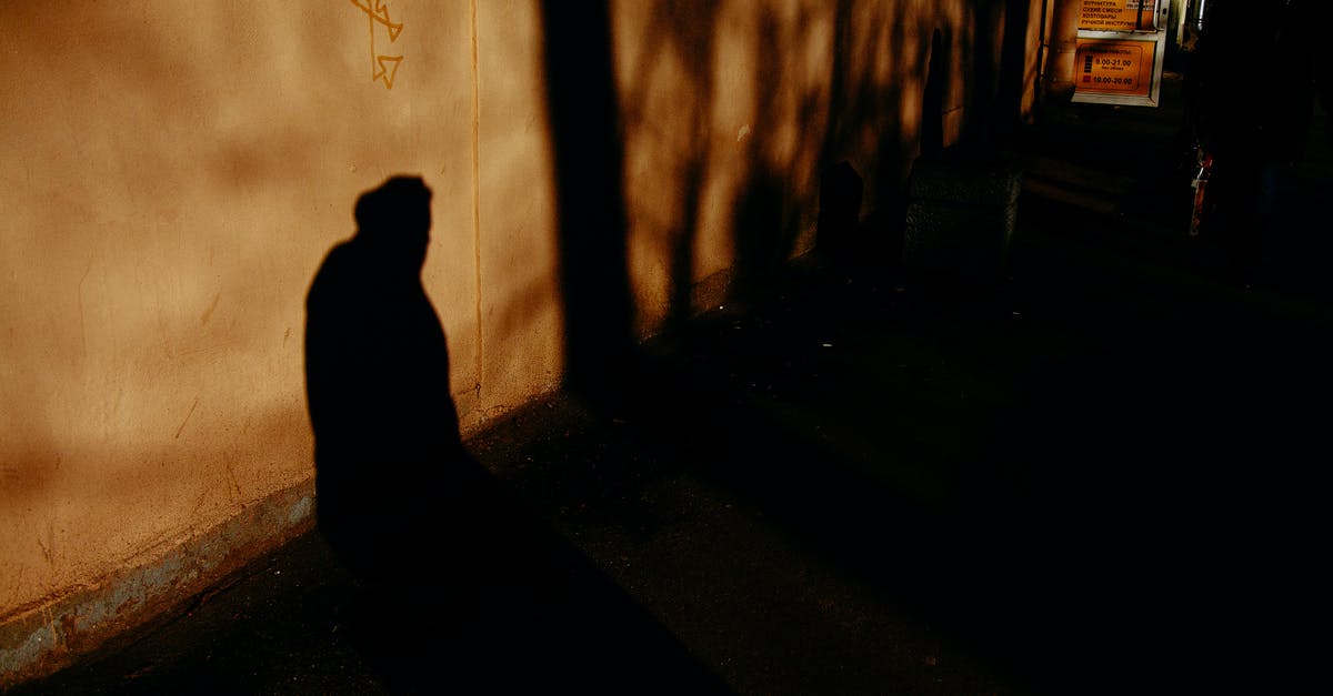 Can an EU citizen under 25 years old enter Musee d'Orsay through entrance C? - Unrecognizable person shadow on old building wall with entrance door in town at night Can an EU citizen under 25 years old enter Musee d'Orsay through entrance C? - Unrecognizable person shadow on old building wall with entrance door in town at night