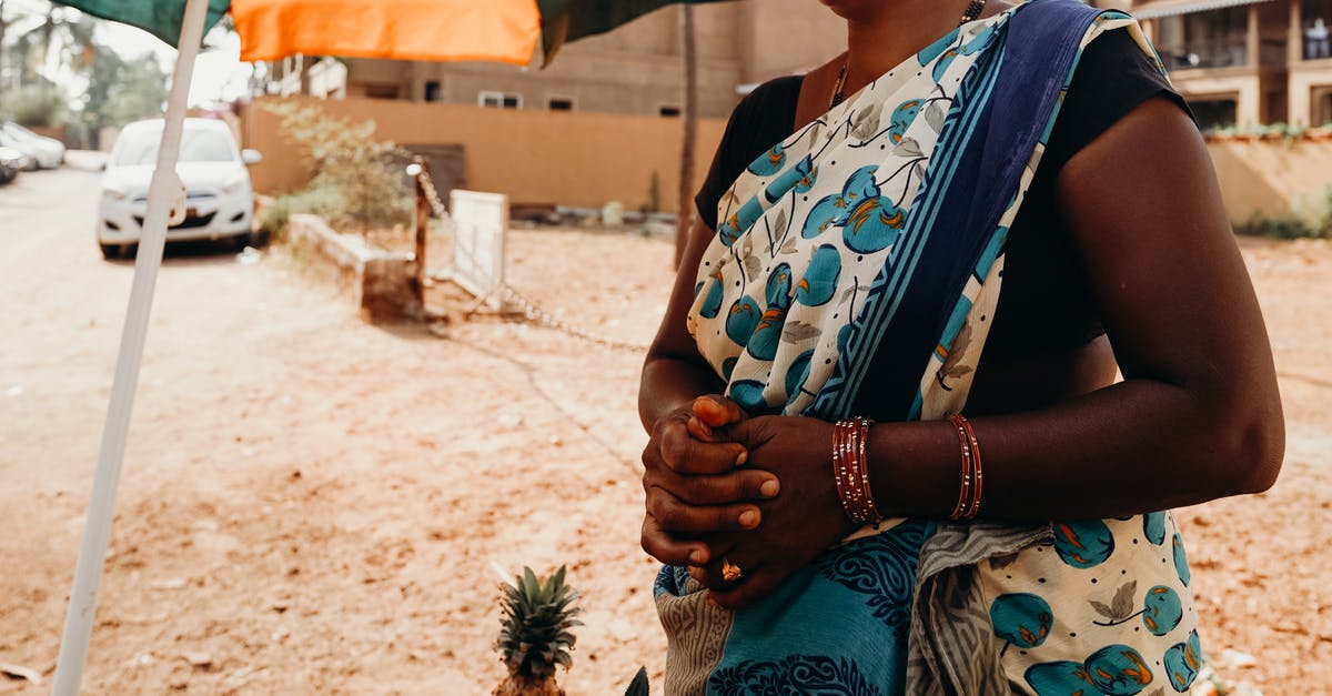 Can an Indian citizen studying in Germany travel to India through Paris airport? [duplicate] - Woman in Blue and White Floral Sleeveless Dress Holding Pineapple Fruit