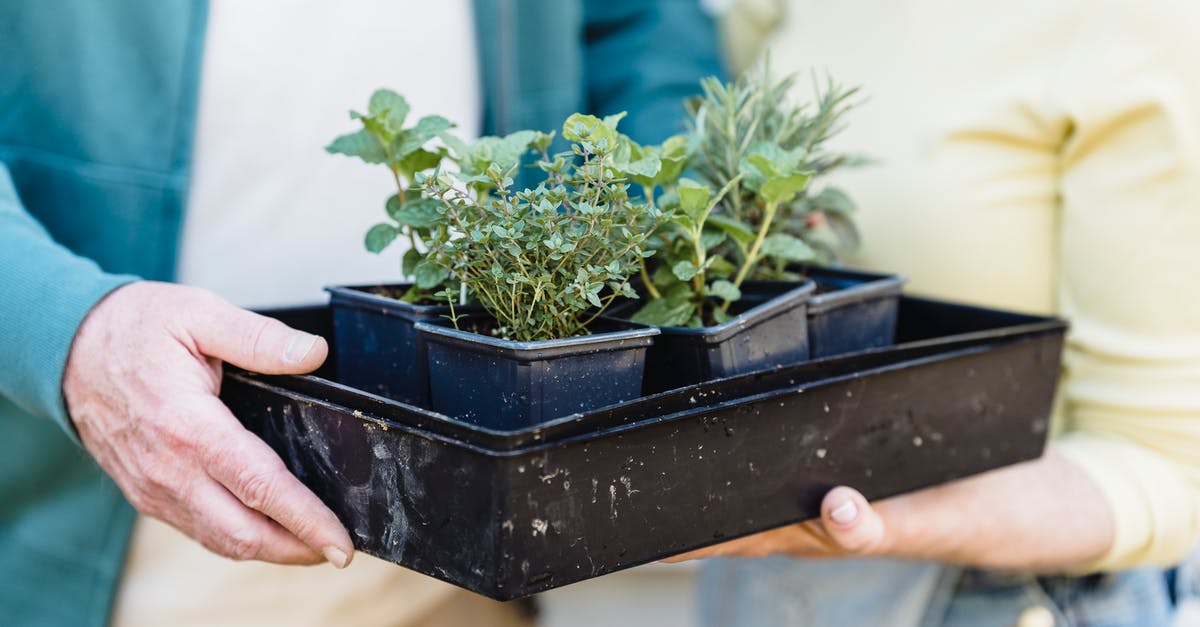 Can anybody recommend some organic farms for volunteering on the Canary Islands? [closed] - Farmers holding container of sprouts together