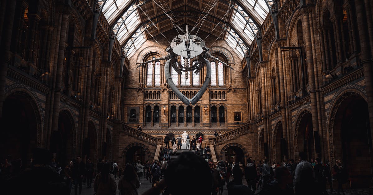 Can foreign tourists arrive in the UK from amber list countries? - People inside the Natural History Museum 